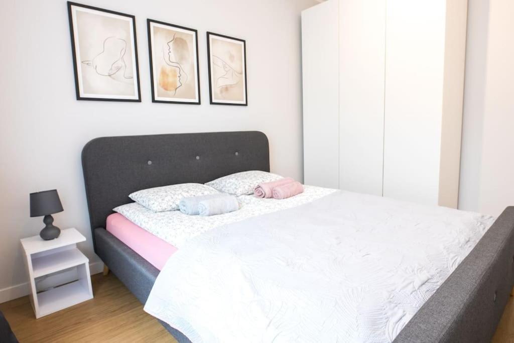 Nowoczesny Apartament Dabska Arena / Parking Cracovia Esterno foto